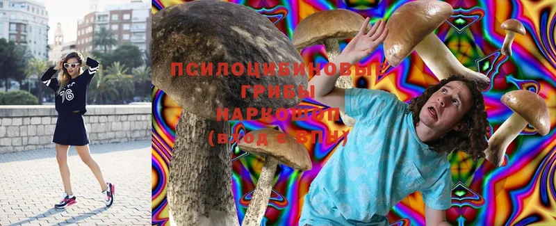 Псилоцибиновые грибы мицелий  OMG маркетплейс  Североуральск 